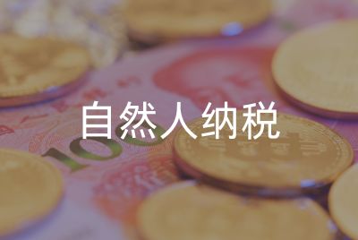 自然人纳税