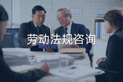 劳动法规咨询