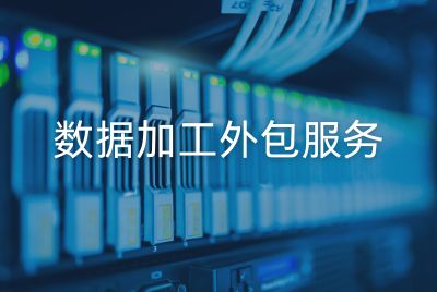 数据加工外包