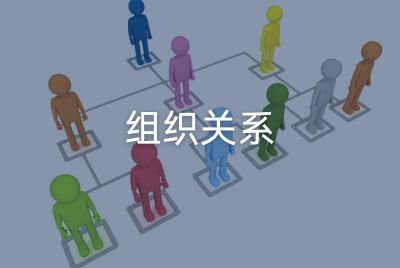 组织关系